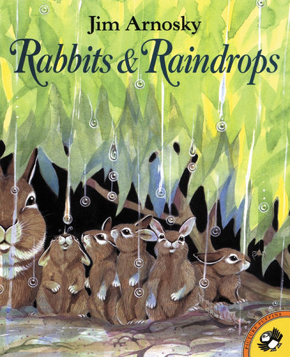 Rabbits and Raindrops Children's Book