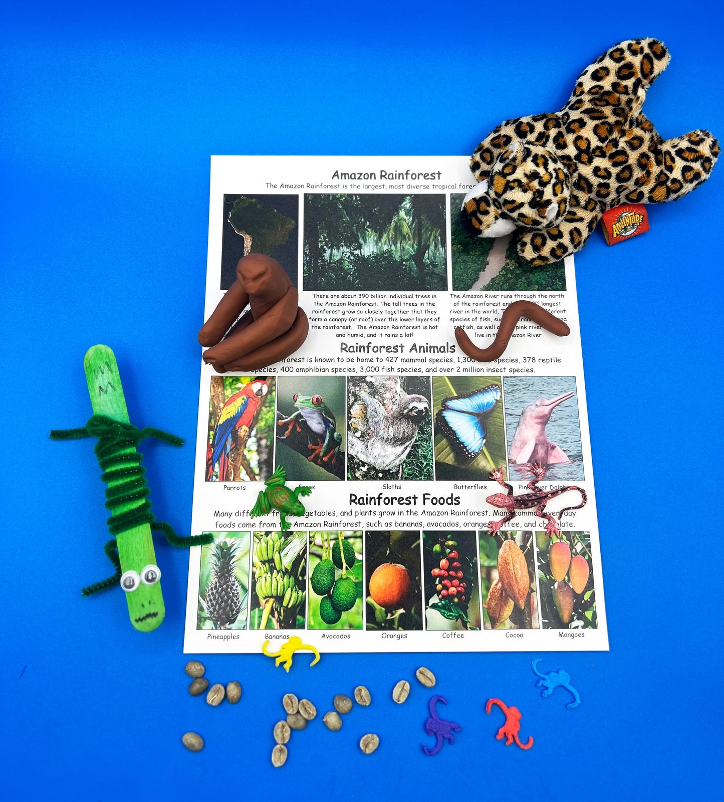 Rainforest Diorama Project STEM kids