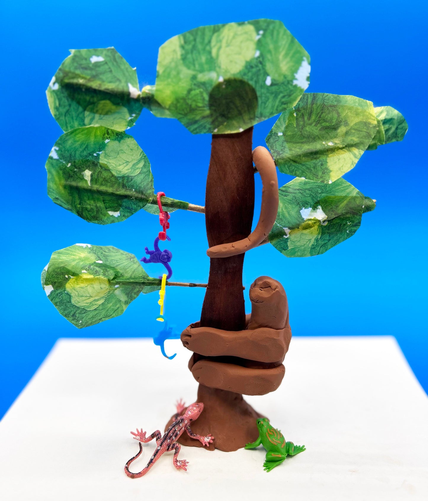 Construct a Rainforest Tree Stem Activity Kids