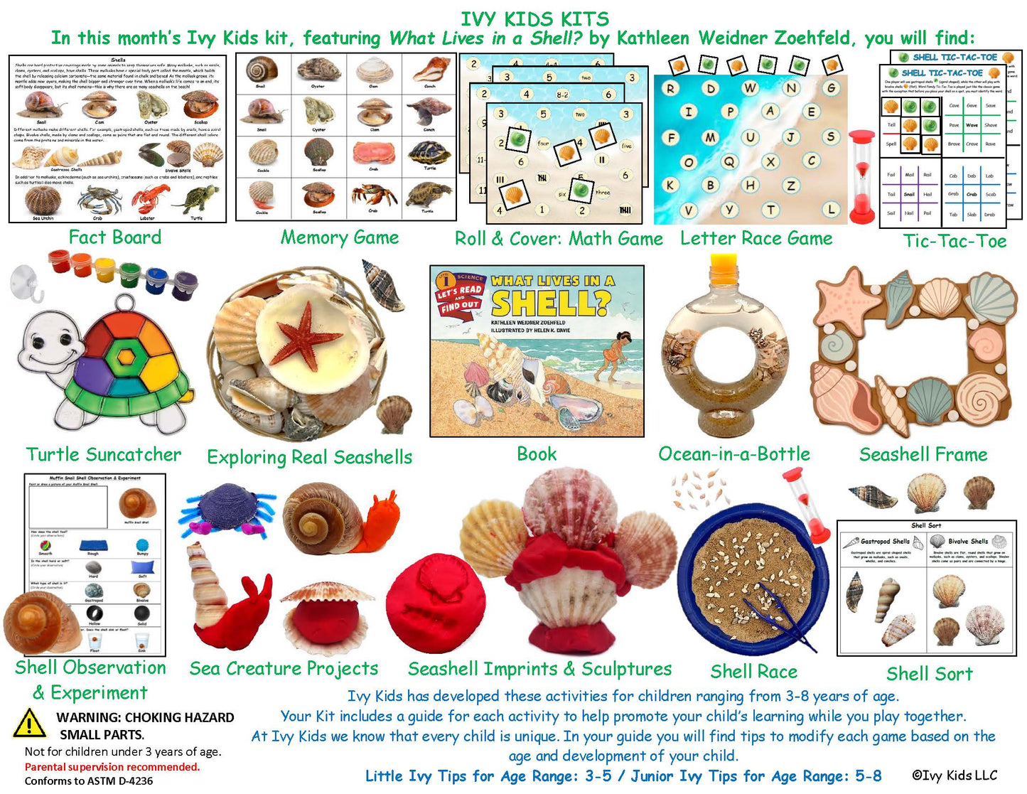 Seashell & Beach themed STEM activities
