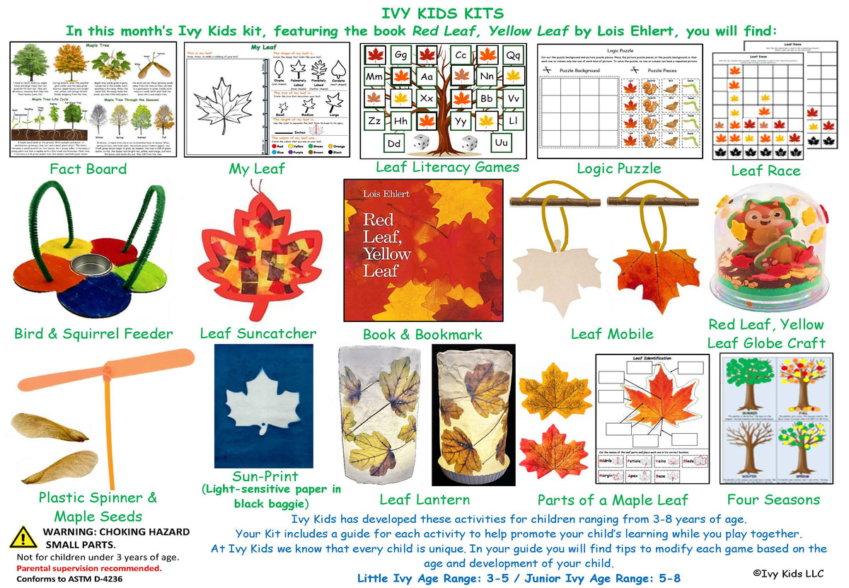 Fall STEM kids activities inspired by the book Red Leaf, Yellow Leaf. Sun catcher, leaf mobile, leaf lantern, fall glitter globe, sun prints, seeds, maple leaves and a bird feeder