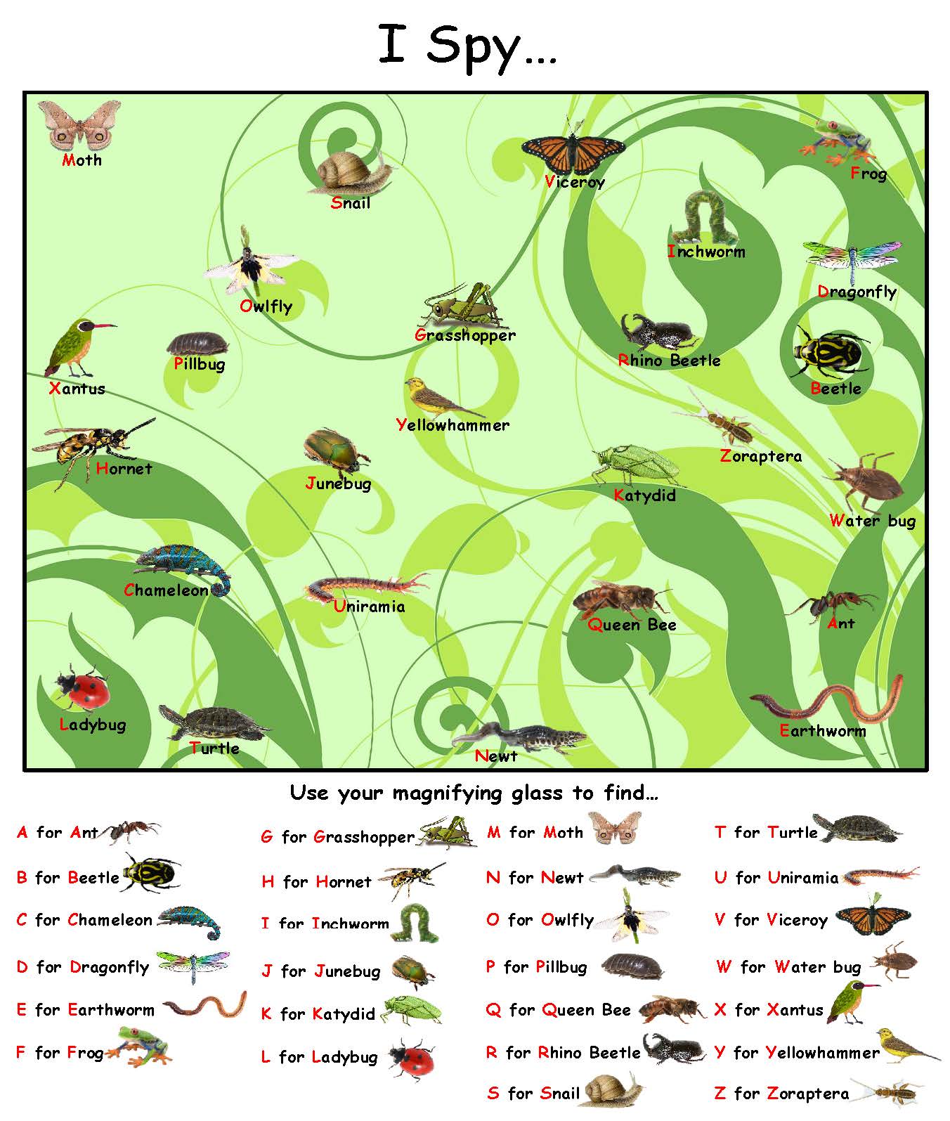 Ivy Kids Kit - There's a Bug on My Book
