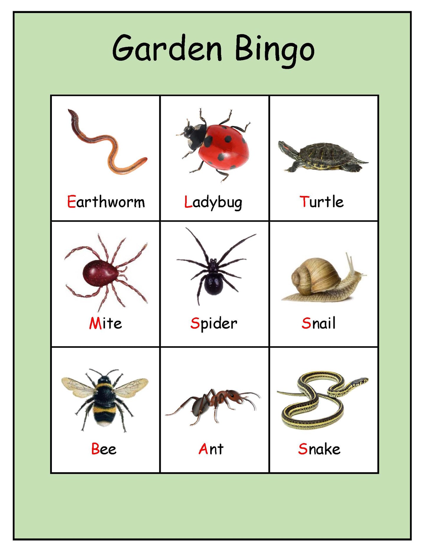 Ivy Kids Kit - There's a Bug on My Book