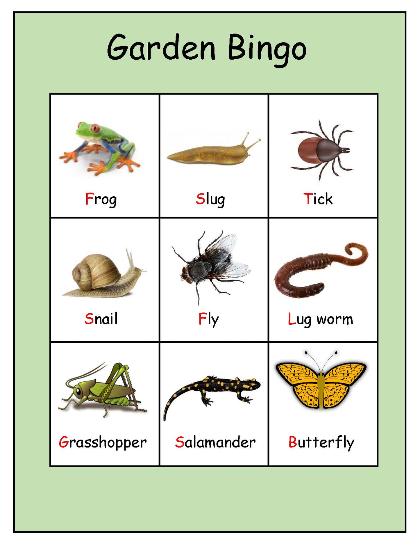 Ivy Kids Kit - There's a Bug on My Book