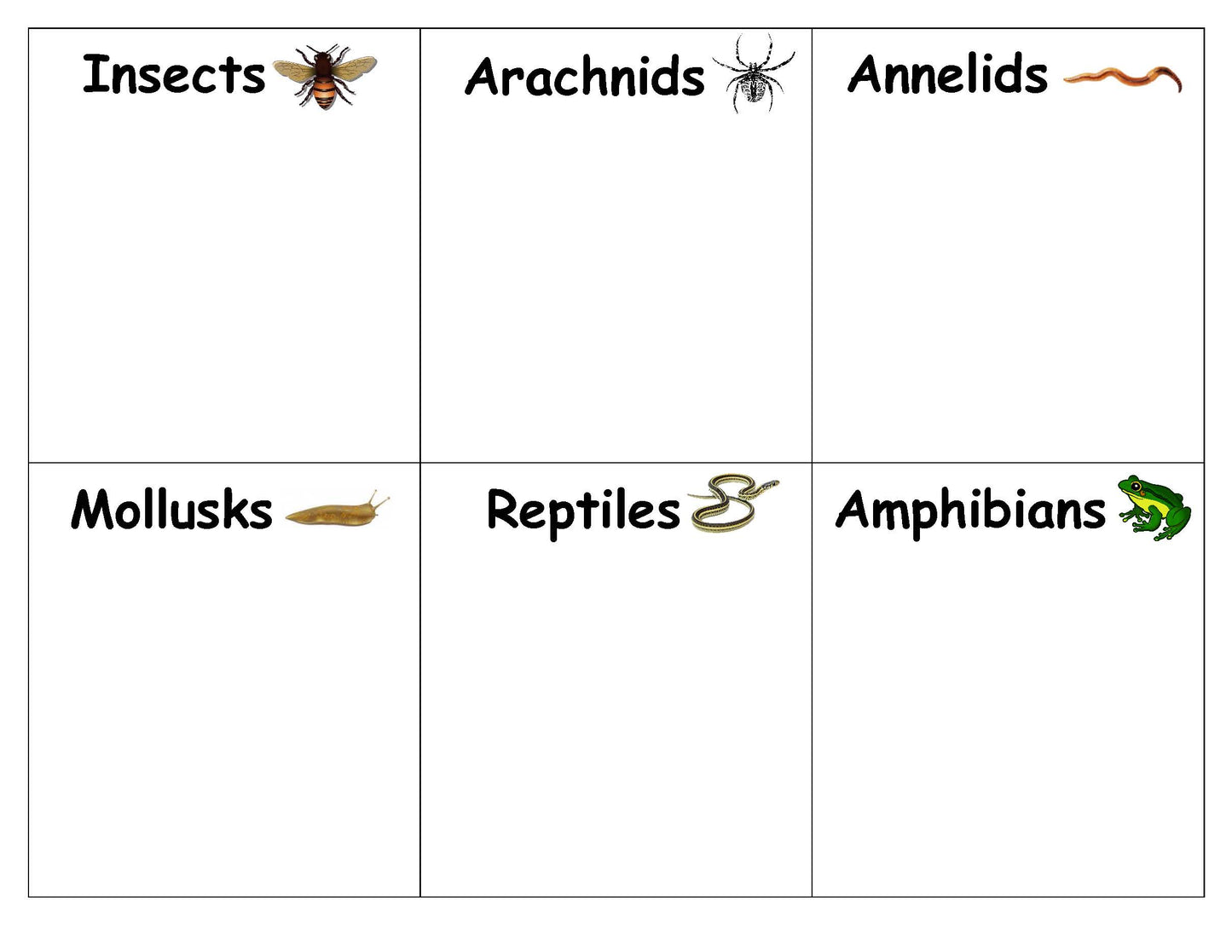 Ivy Kids Kit - There's a Bug on My Book