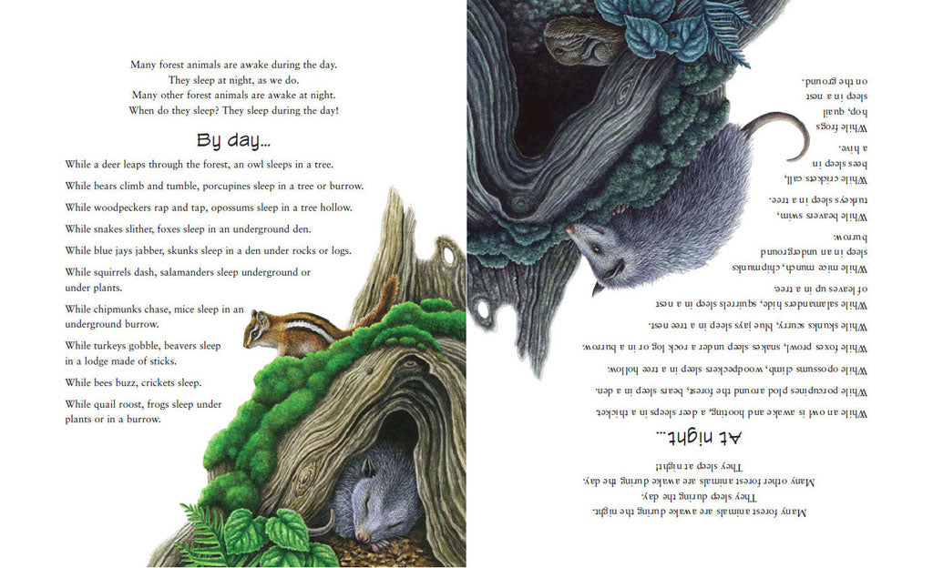 Ivy Kids Kit - Forest Bright Forest Night