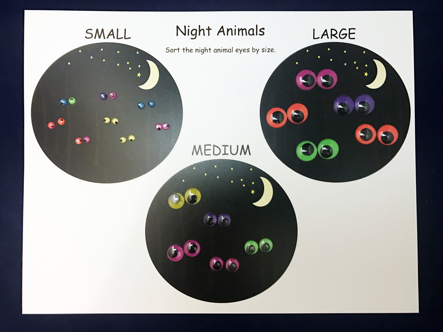 Sorting Math Activity
