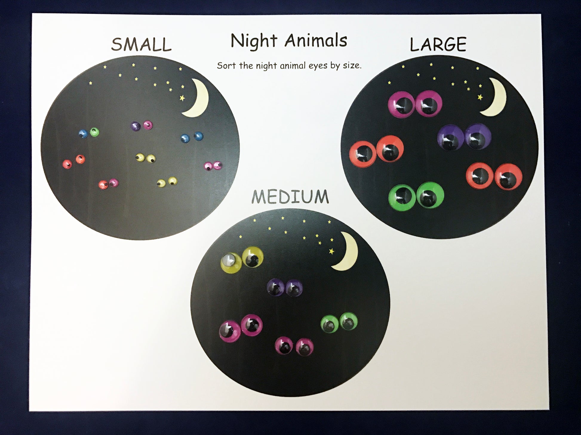 Sorting Math Activity