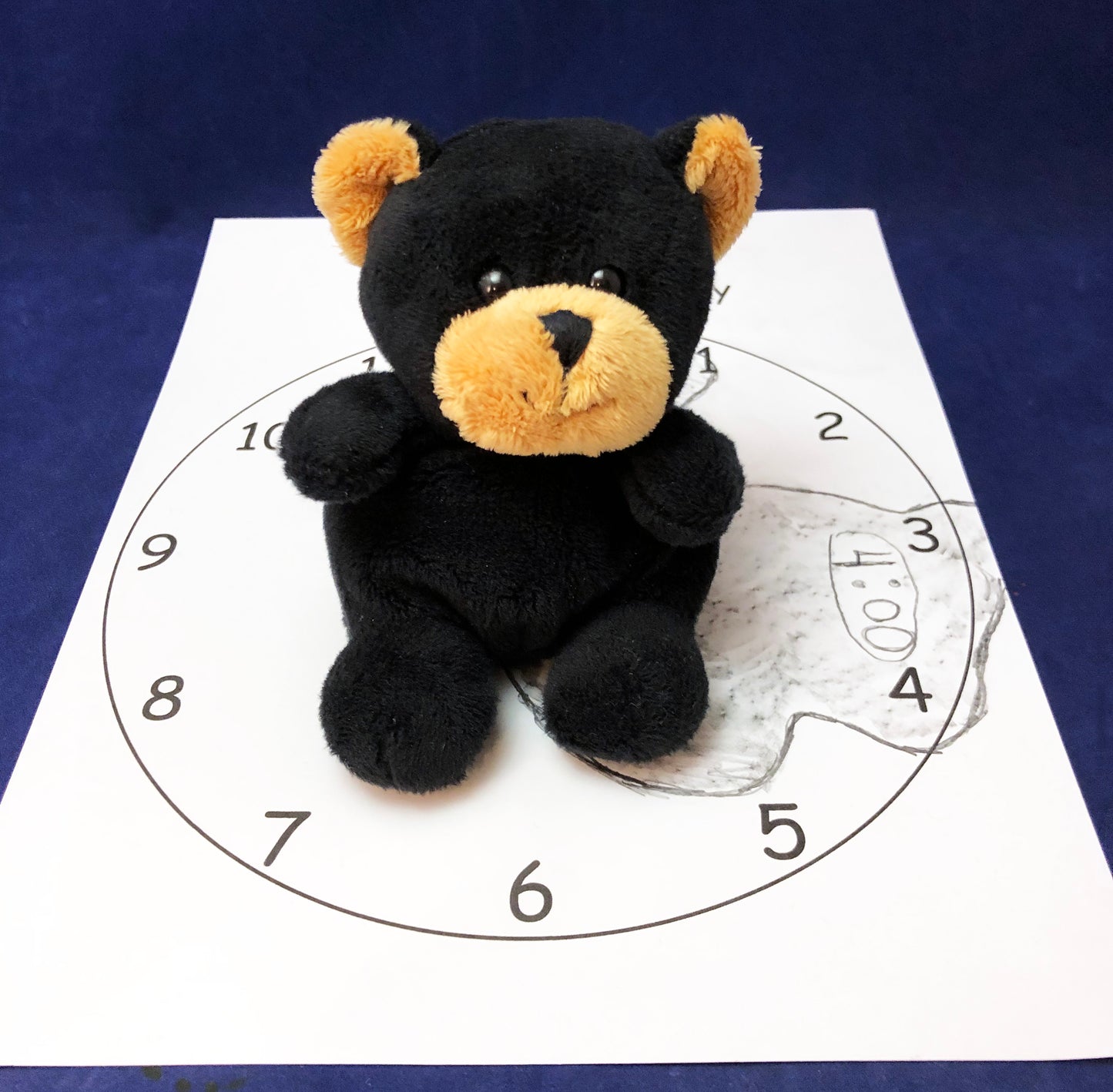 bear shadow recording activity shadow experiment kids science