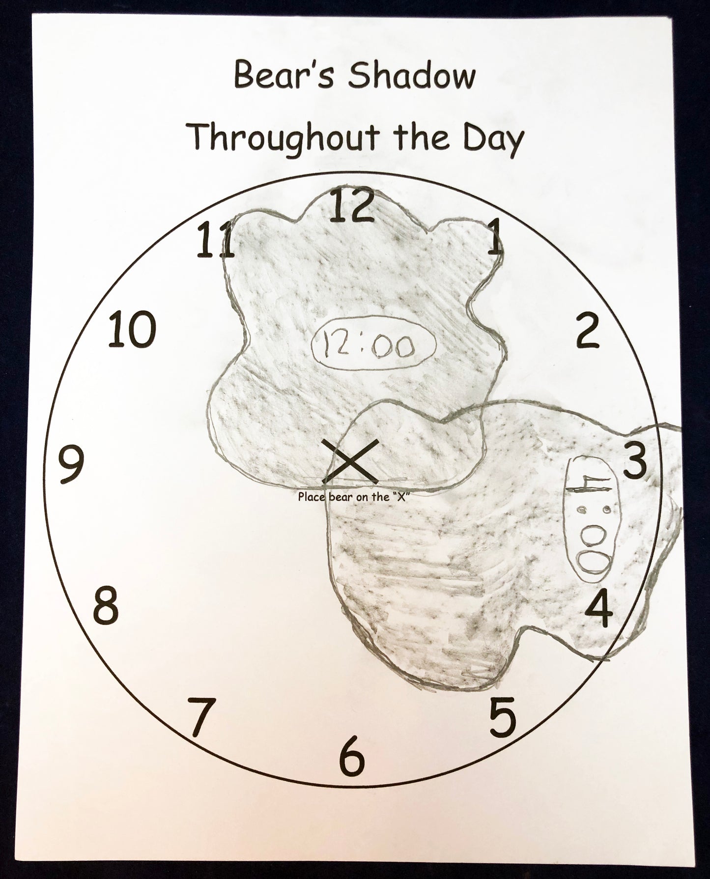 bear shadow recording activity shadow experiment kids science