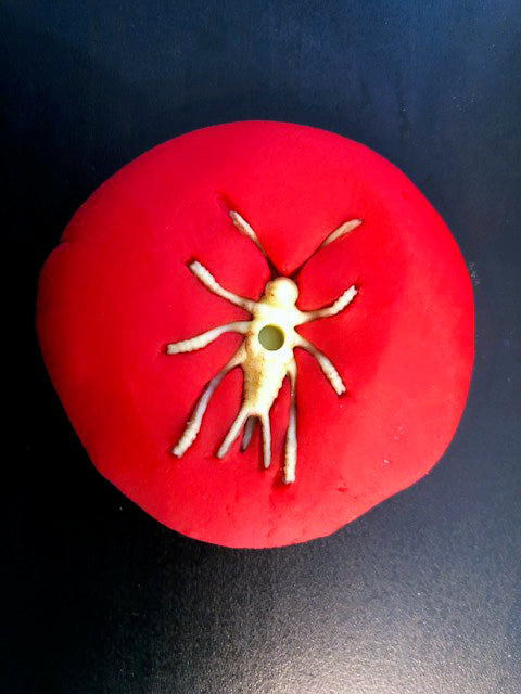 Ivy Kids Kit - There's a Bug on My Book