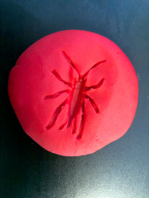 Ivy Kids Kit - There's a Bug on My Book