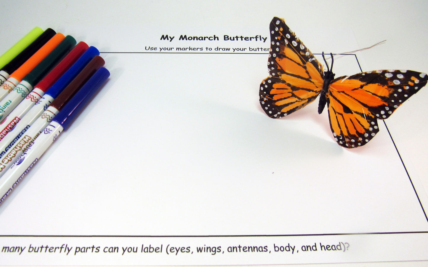 Observational drawing of a monarch butterfly - Ivy Kids Educational Activity Kit featuring the book Gotta Go! Gotta Go! by Sam Swope and over 10 art, literacy, math, and science activities inspired by the story. Learn about monarch butterflies. Perfect kit for spring.