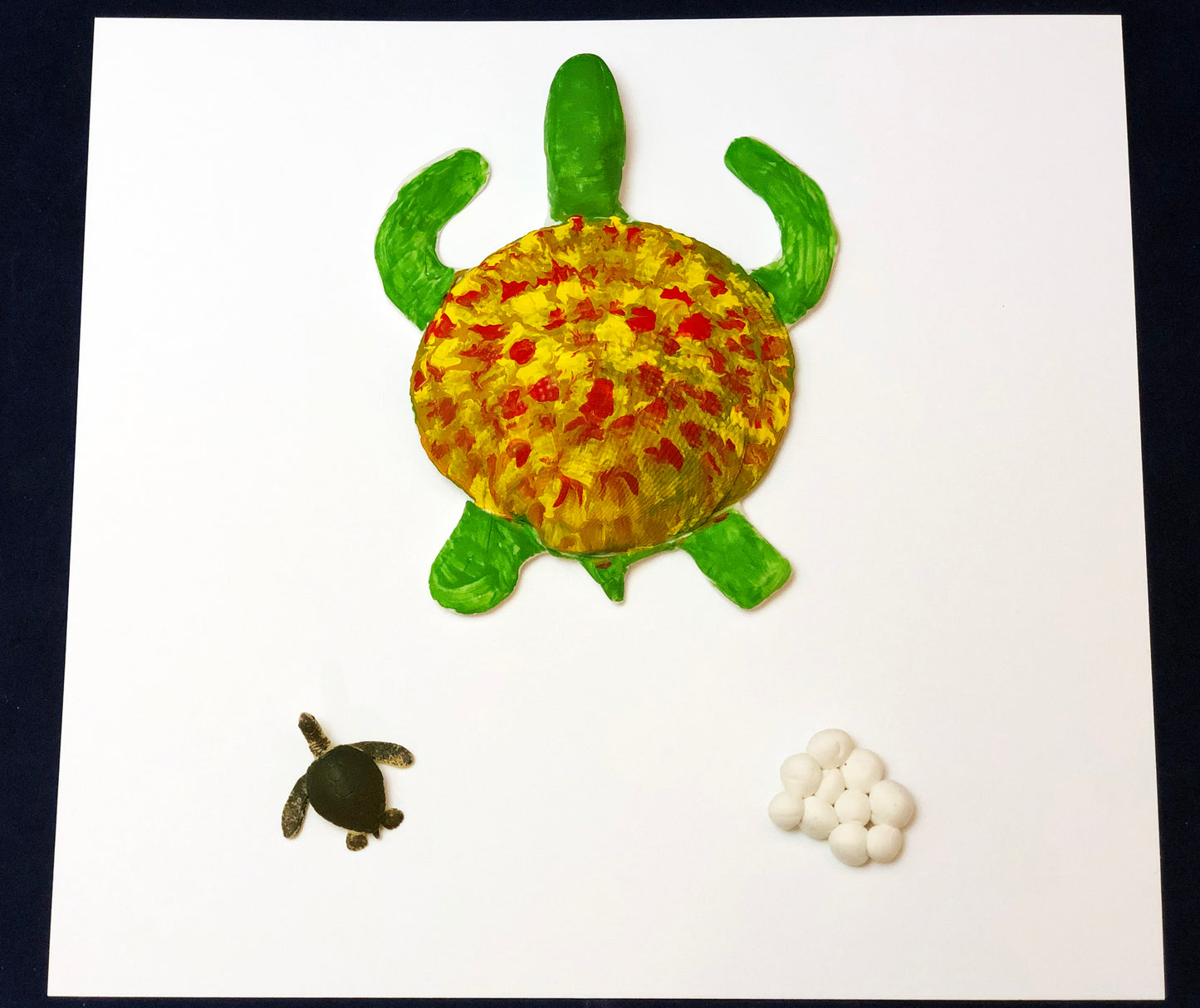sea turtle life cycle