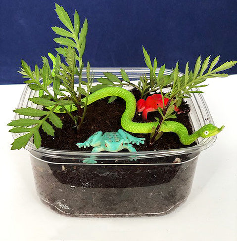 Ivy Kids Kit - Over in a Jungle
