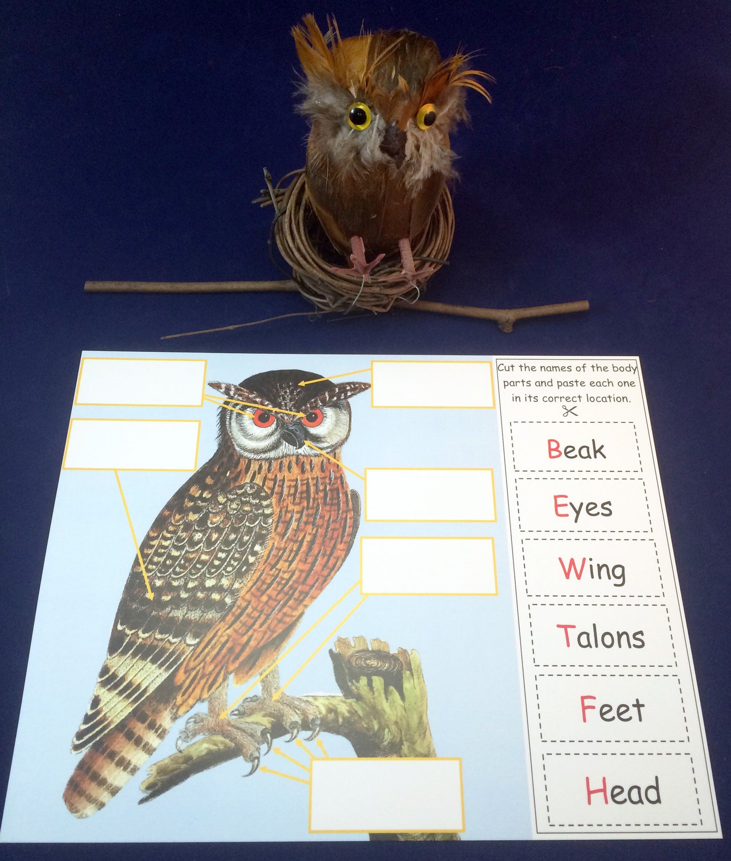 Ivy Kids kit - Owl Babies