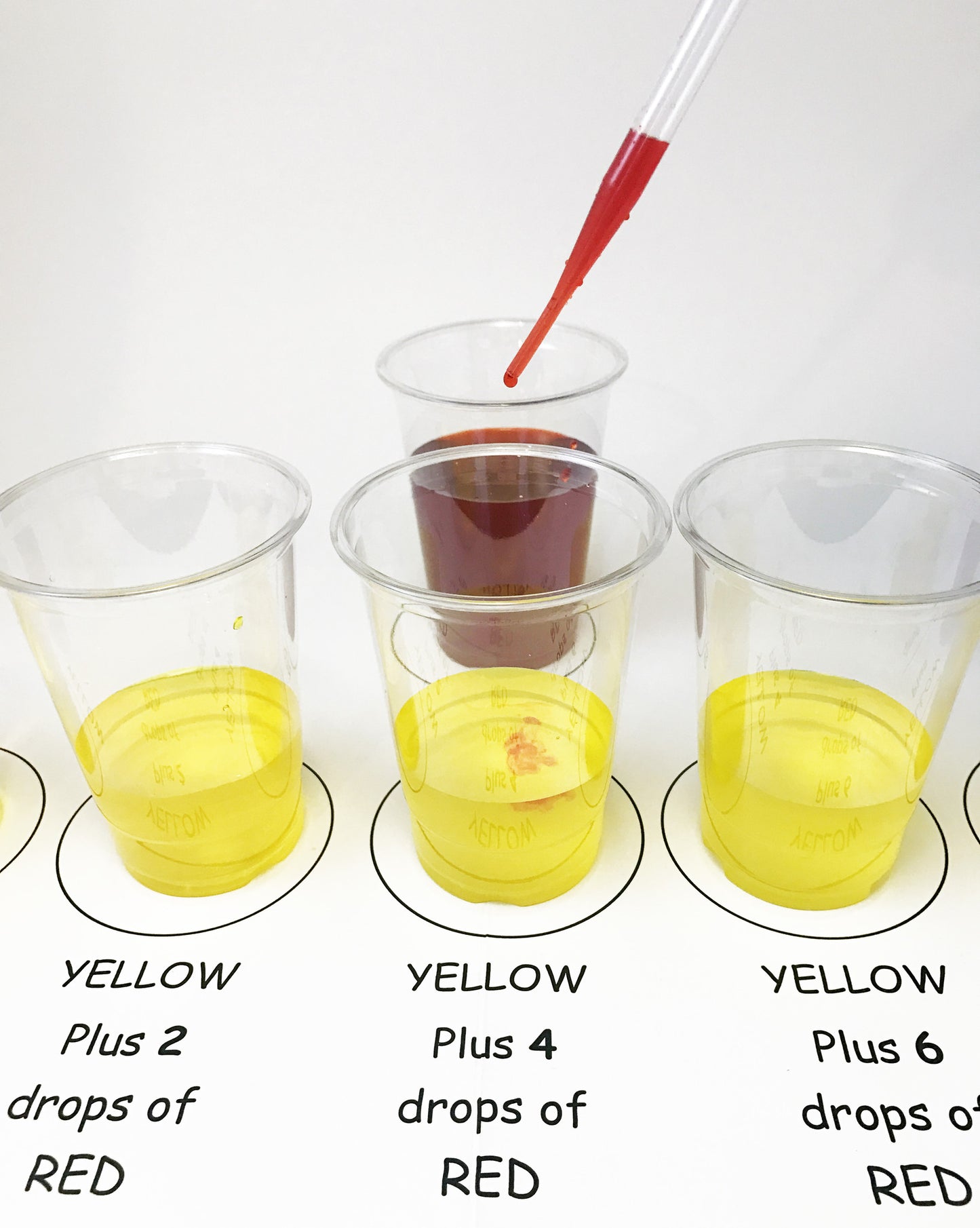 Ivy Kids Kit - The Big Orange Splot