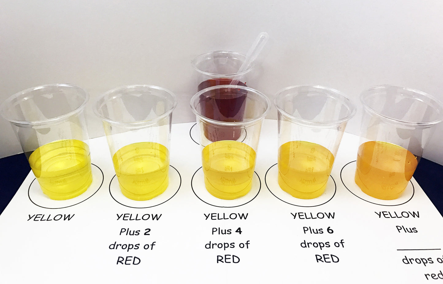 Ivy Kids Kit - The Big Orange Splot