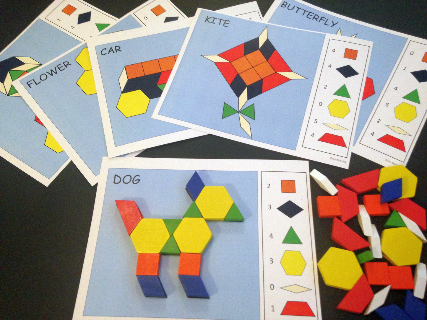 Ivy Kids Kit - Color Zoo