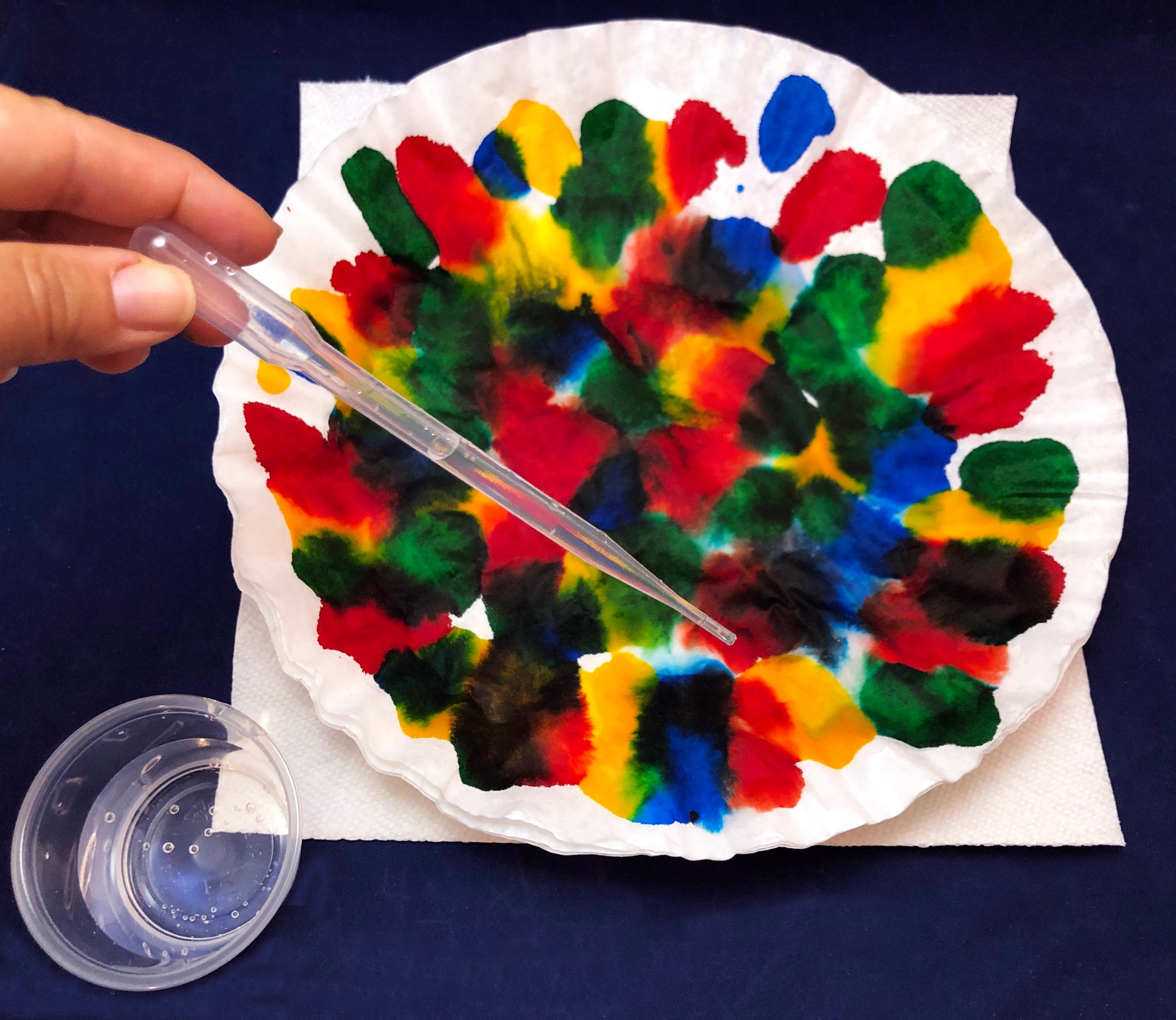 Coffee filter art project with watercolors