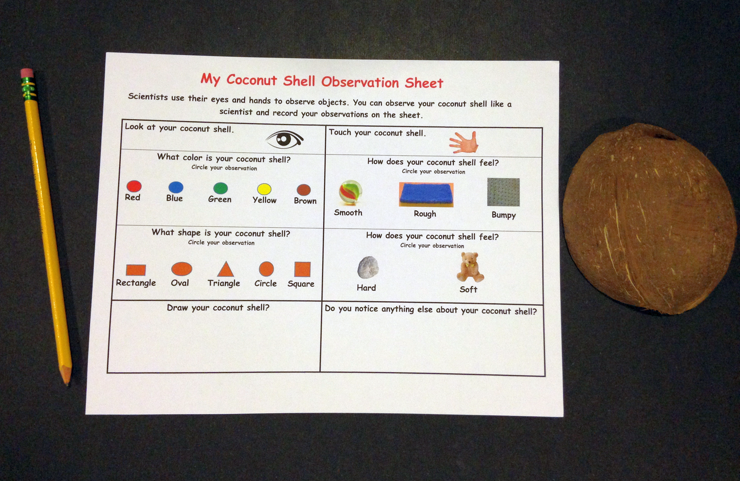 Ivy Kids Kit - Chicka Chicka Boom Boom