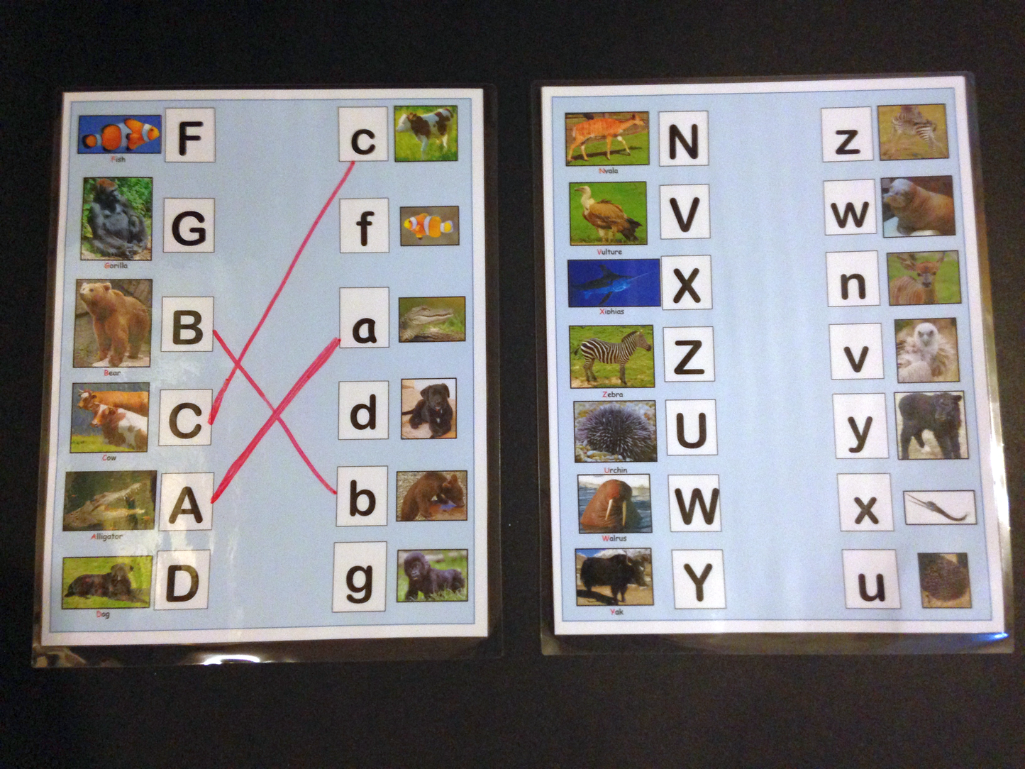 Ivy Kids Kit - Chicka Chicka Boom Boom