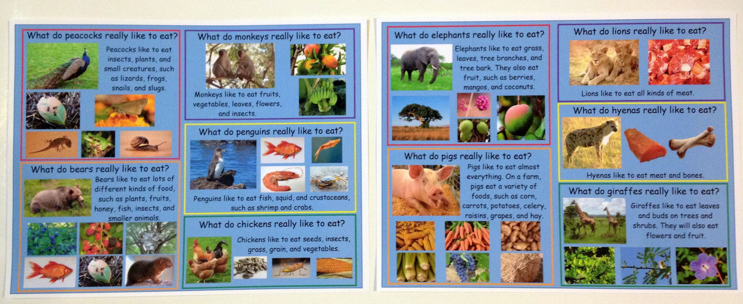 Ivy Kids Kit - Dinner at the Panda Palace