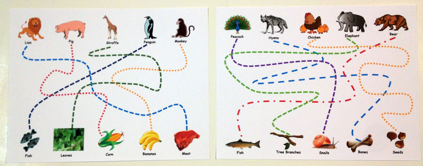 Ivy Kids Kit - Dinner at the Panda Palace