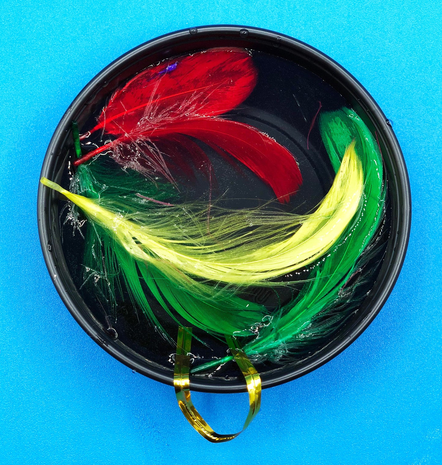 Ice Ornament STEM project