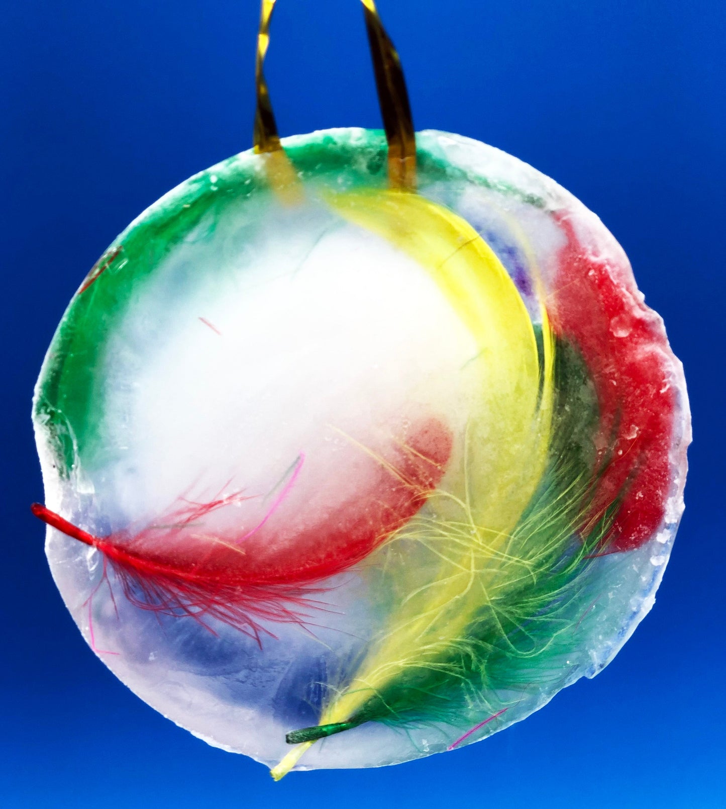 Ice Ornament STEM project