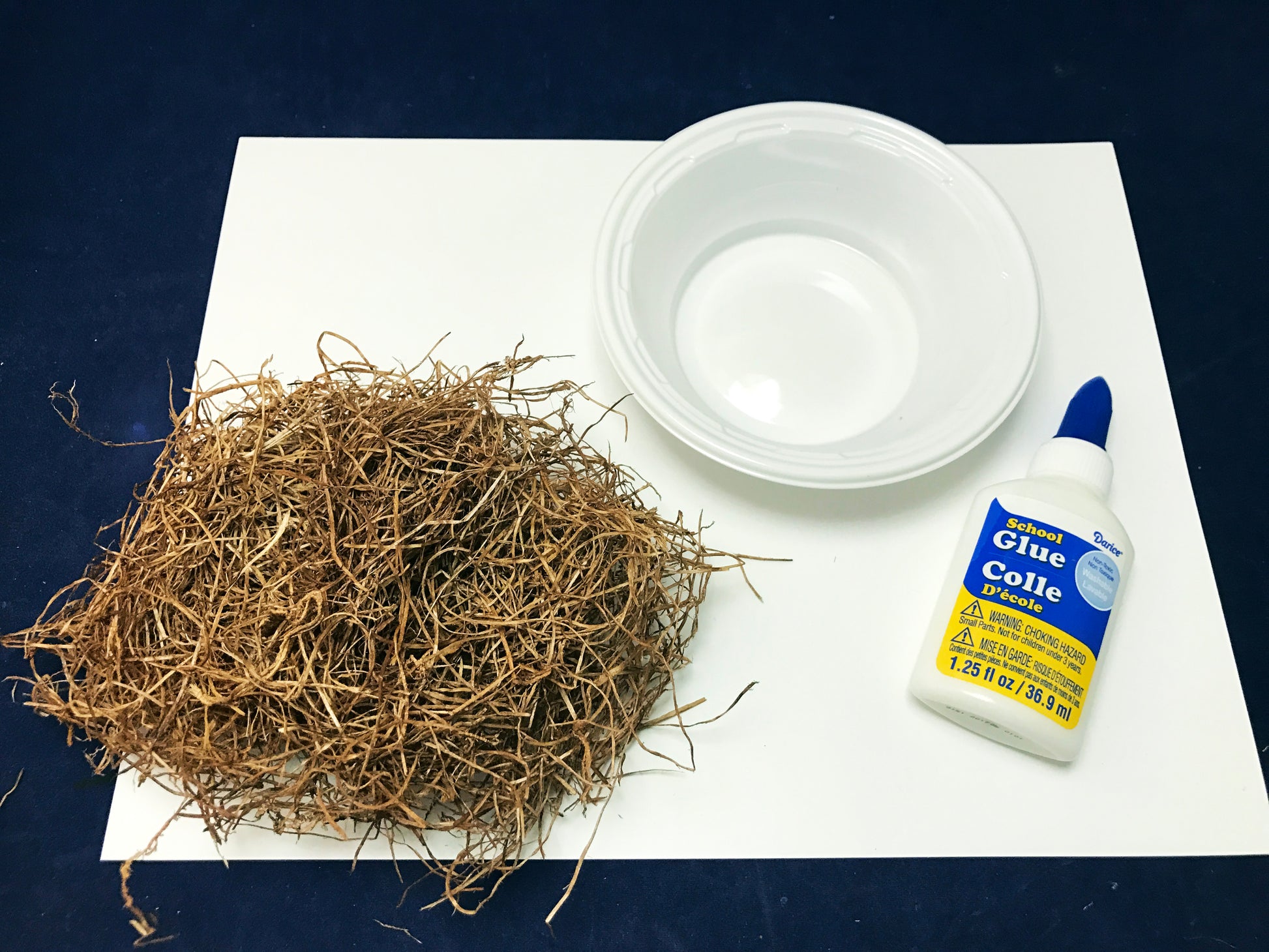 build a nest art project