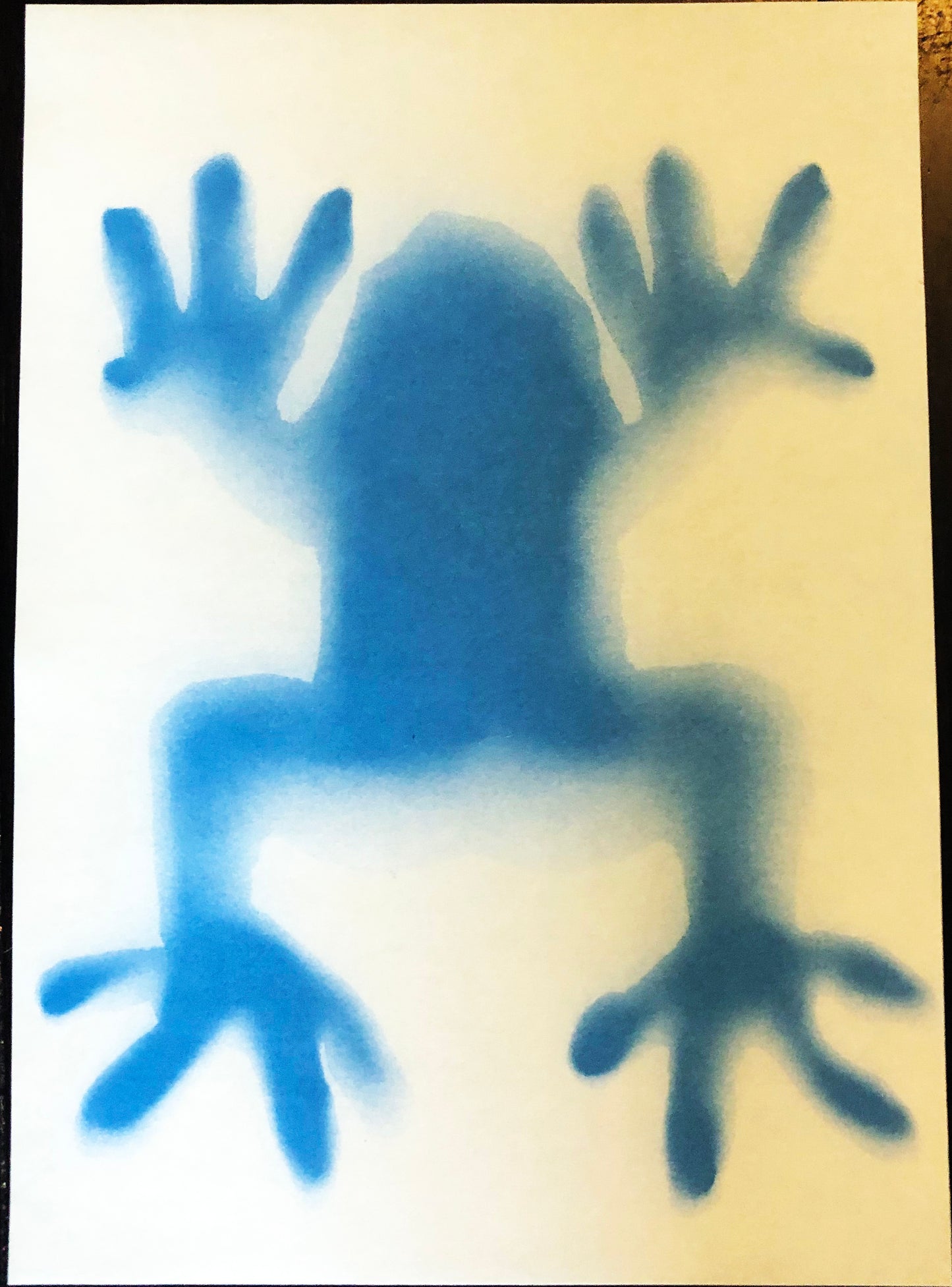 Make sun print record a shadow kids science