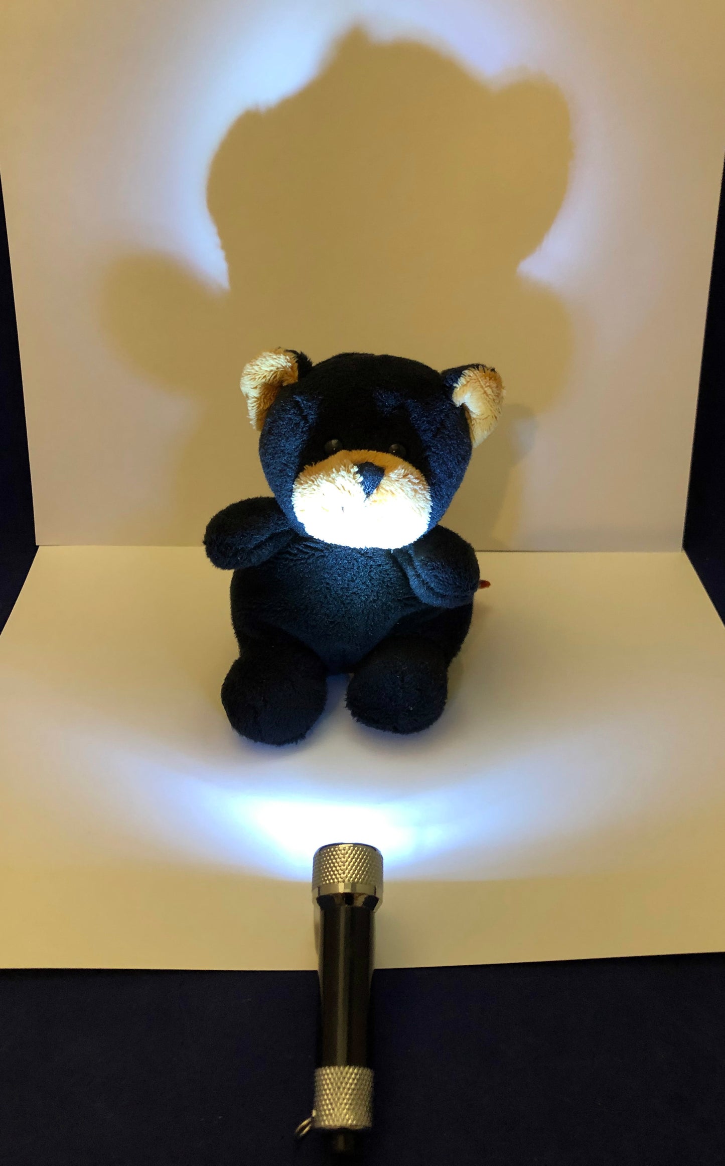 bear shadow experiment for kids