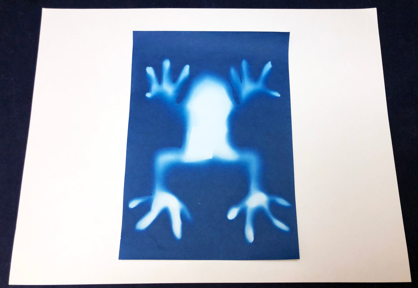 Make sun print record a shadow kids science