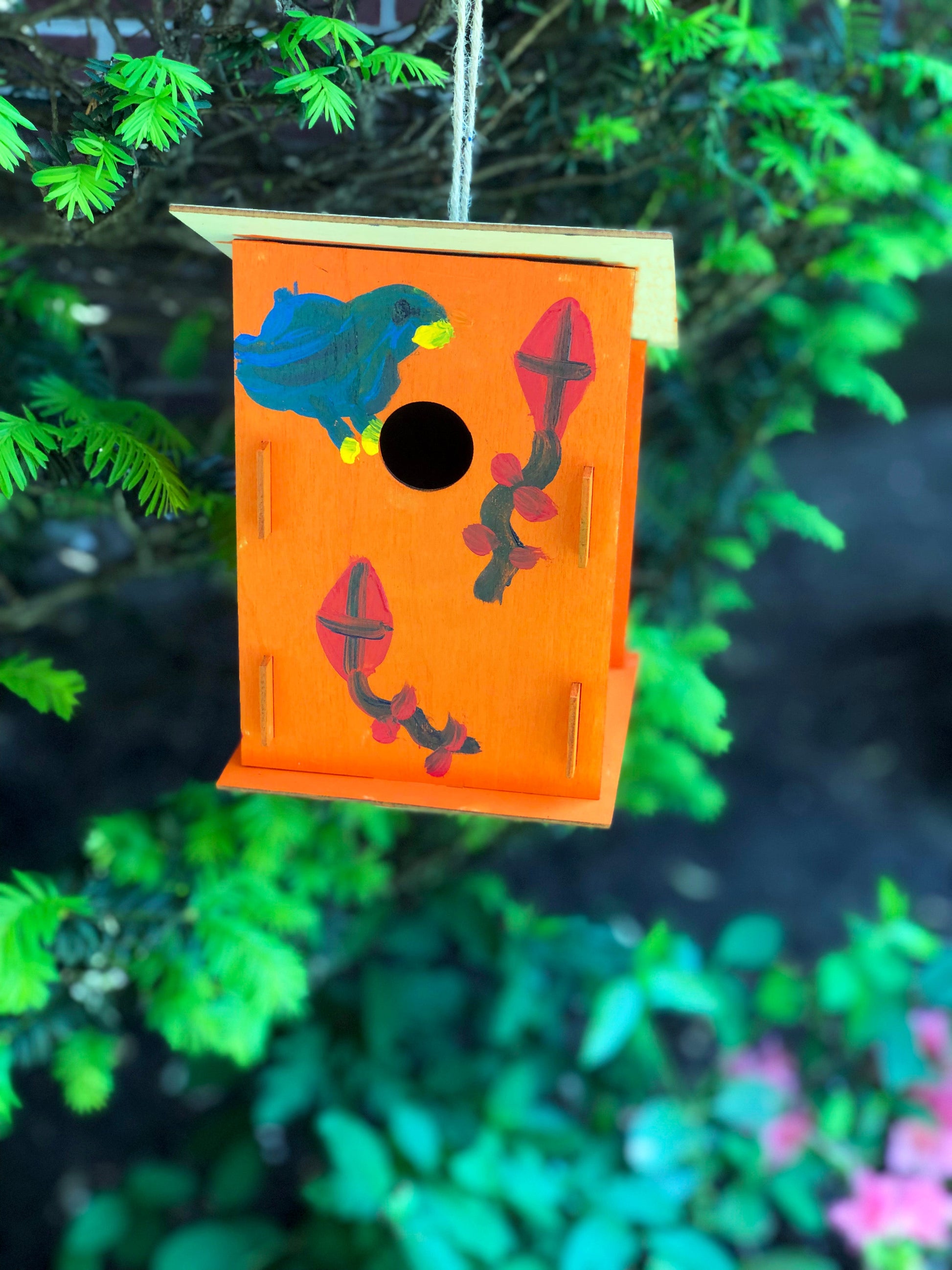 Build a birdhouse Kids STEM