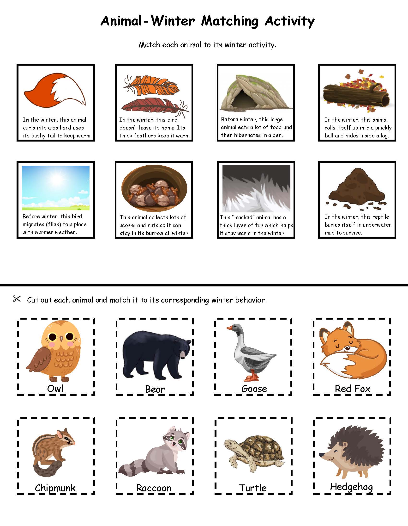 Animal-Winter Matching Activity