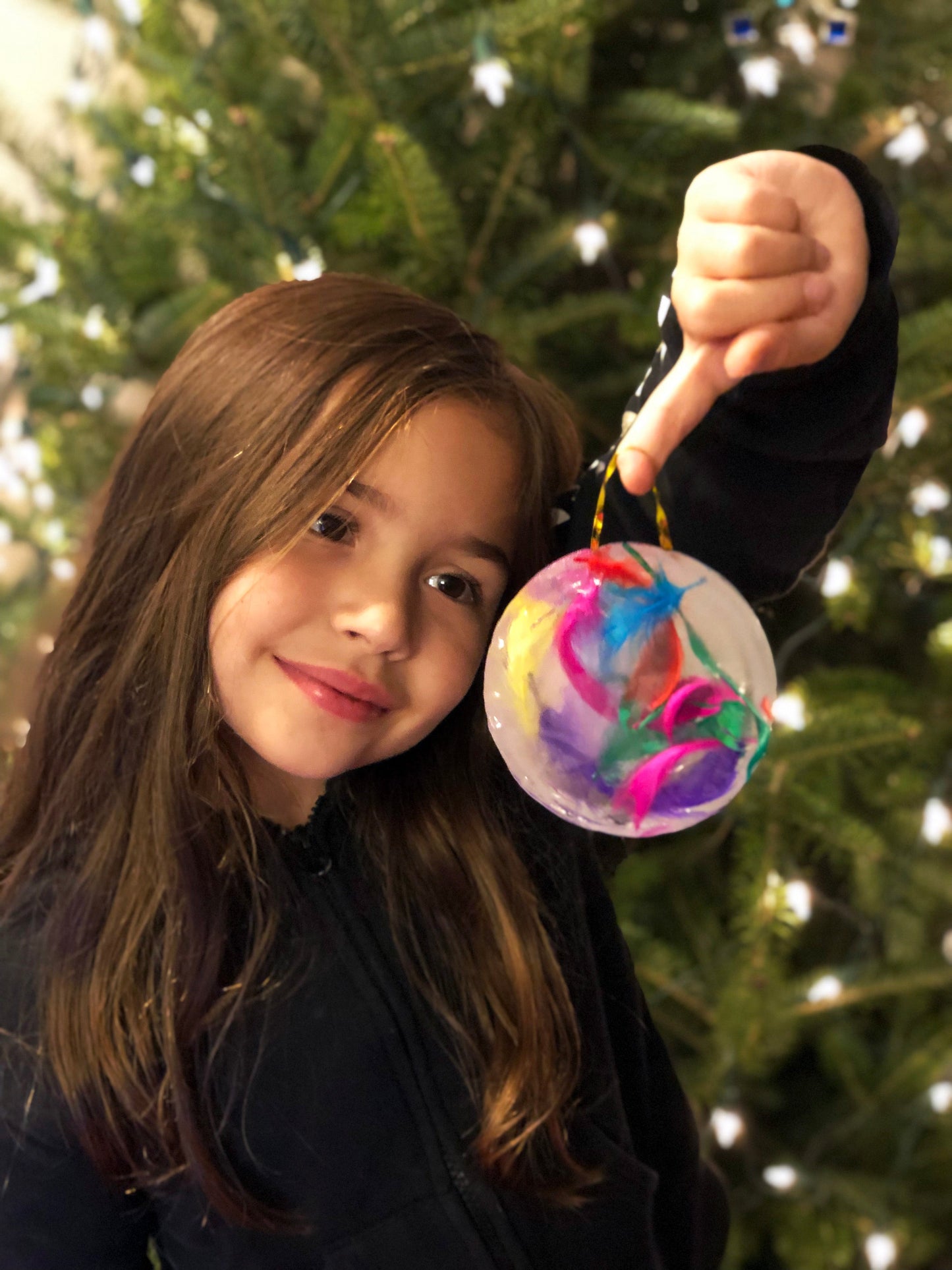 Ice Ornament STEM project
