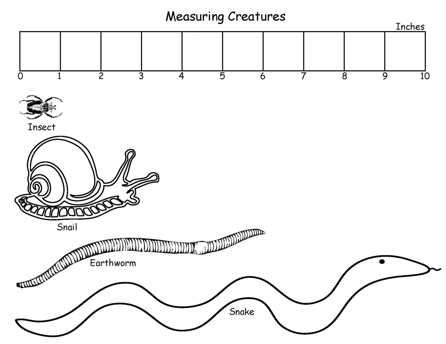 Ivy Kids Kit - There's a Bug on My Book