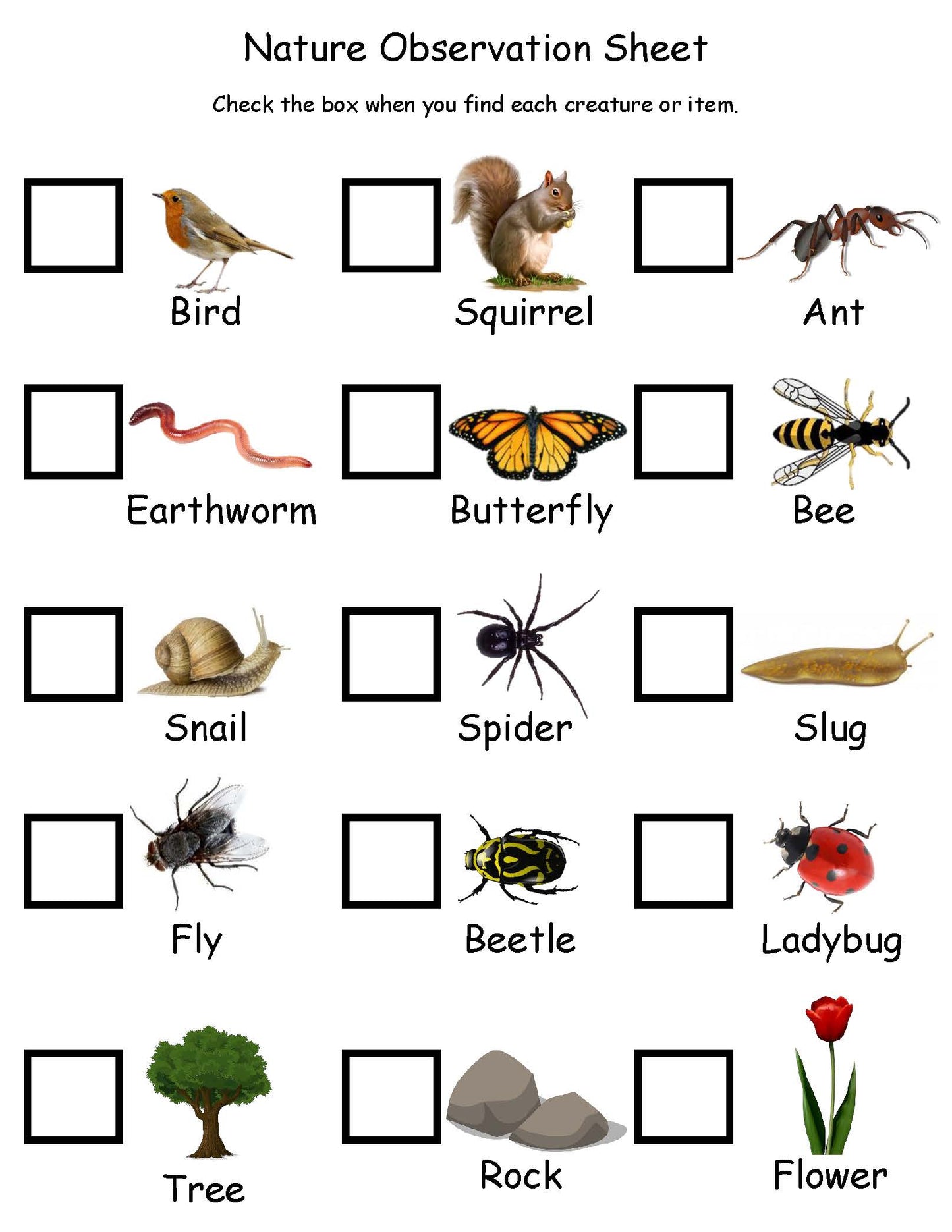 Ivy Kids Kit - There's a Bug on My Book