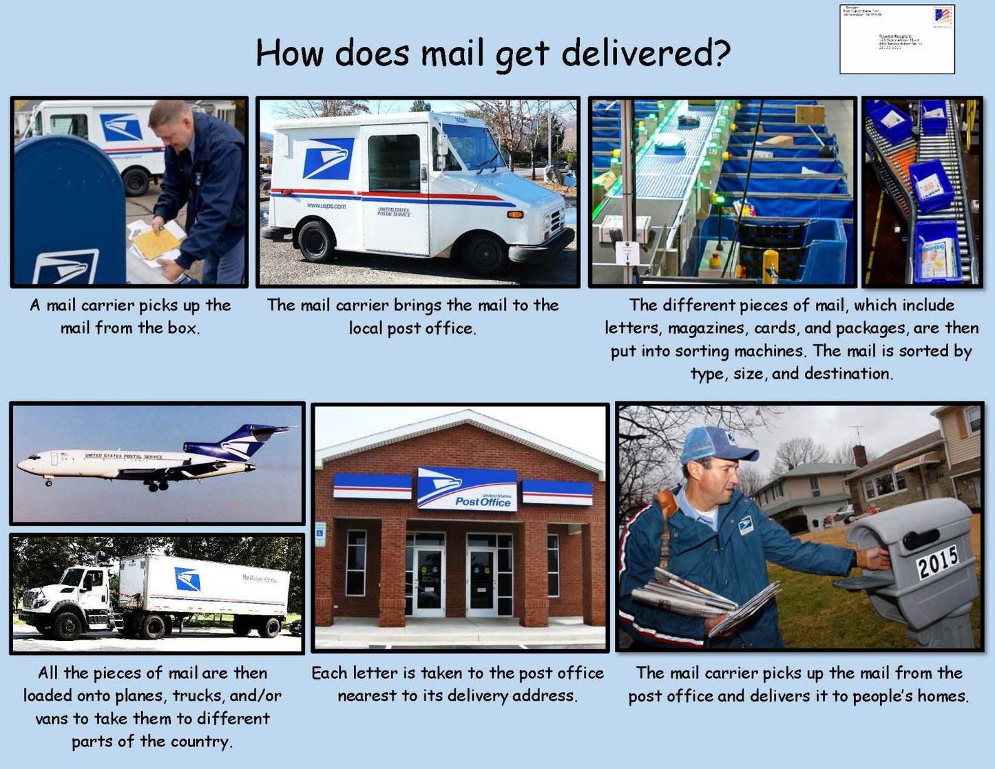 Ivy Kids Kit - Larabee