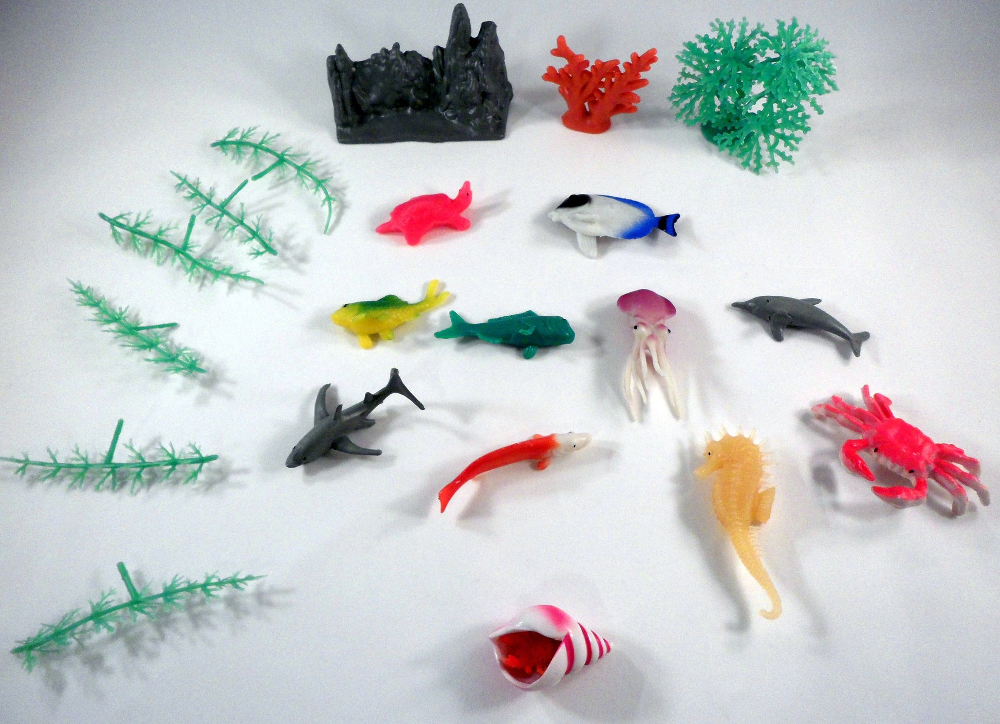 Sea animals and plants -A House for Hermit Crab - Ivy Kids subscription box activities.