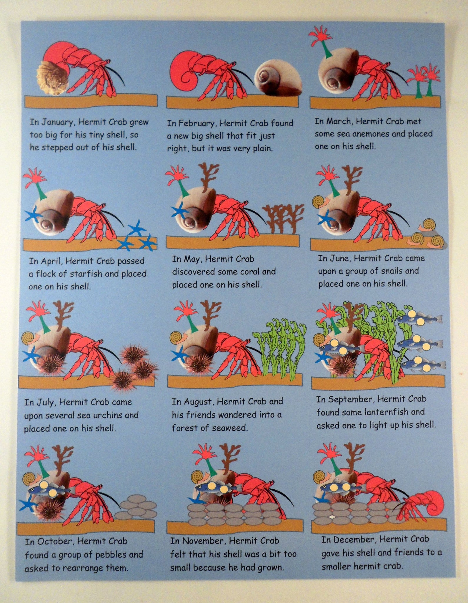 Calendar instructional - A House for Hermit Crab - Ivy Kids subscription box activities.