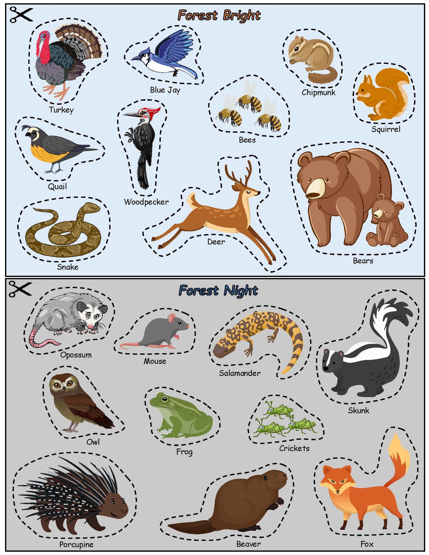 Ivy Kids Kit - Forest Bright Forest Night