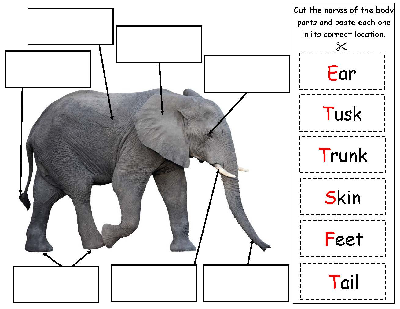 Ivy Kids kit - Elmer