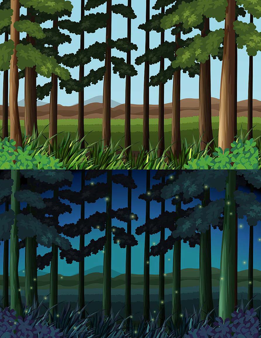 Ivy Kids Kit - Forest Bright Forest Night