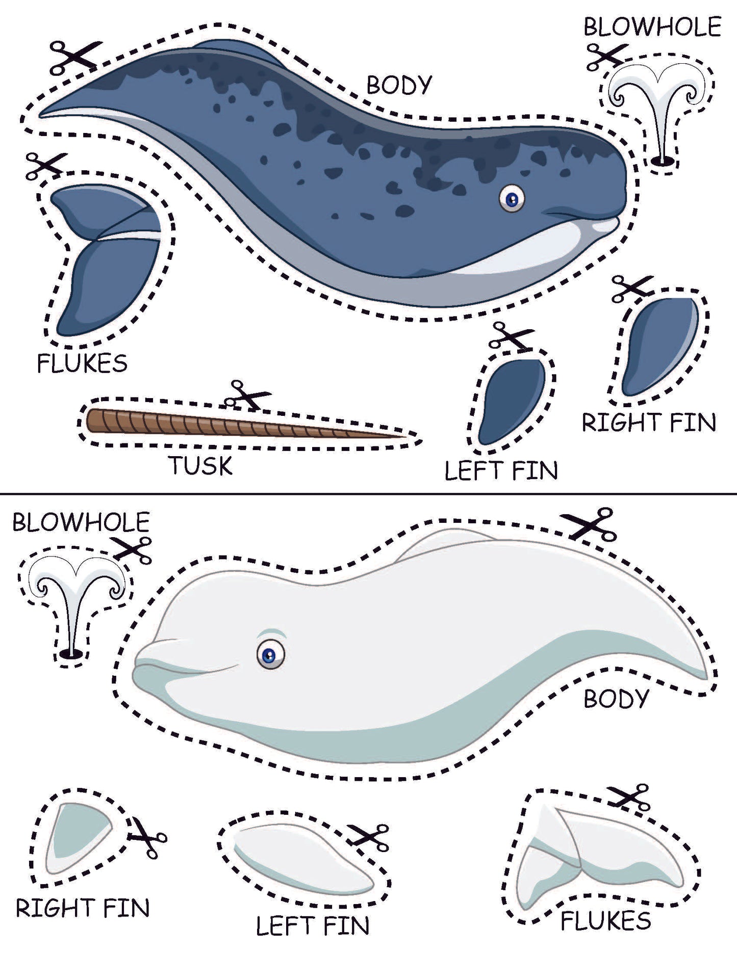 Ivy Kids Kit - The Lost Narwhal