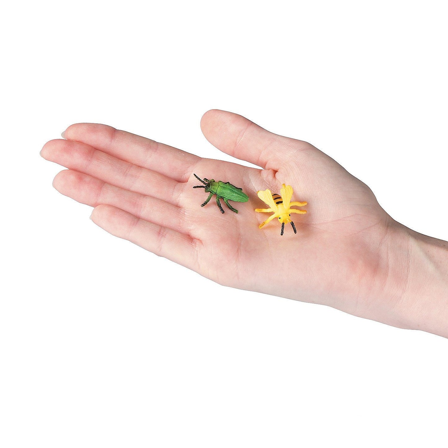 Ivy Kids Kit - There's a Bug on My Book