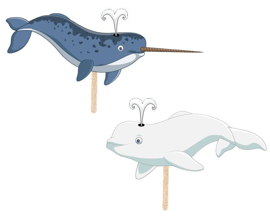 Ivy Kids Kit - The Lost Narwhal