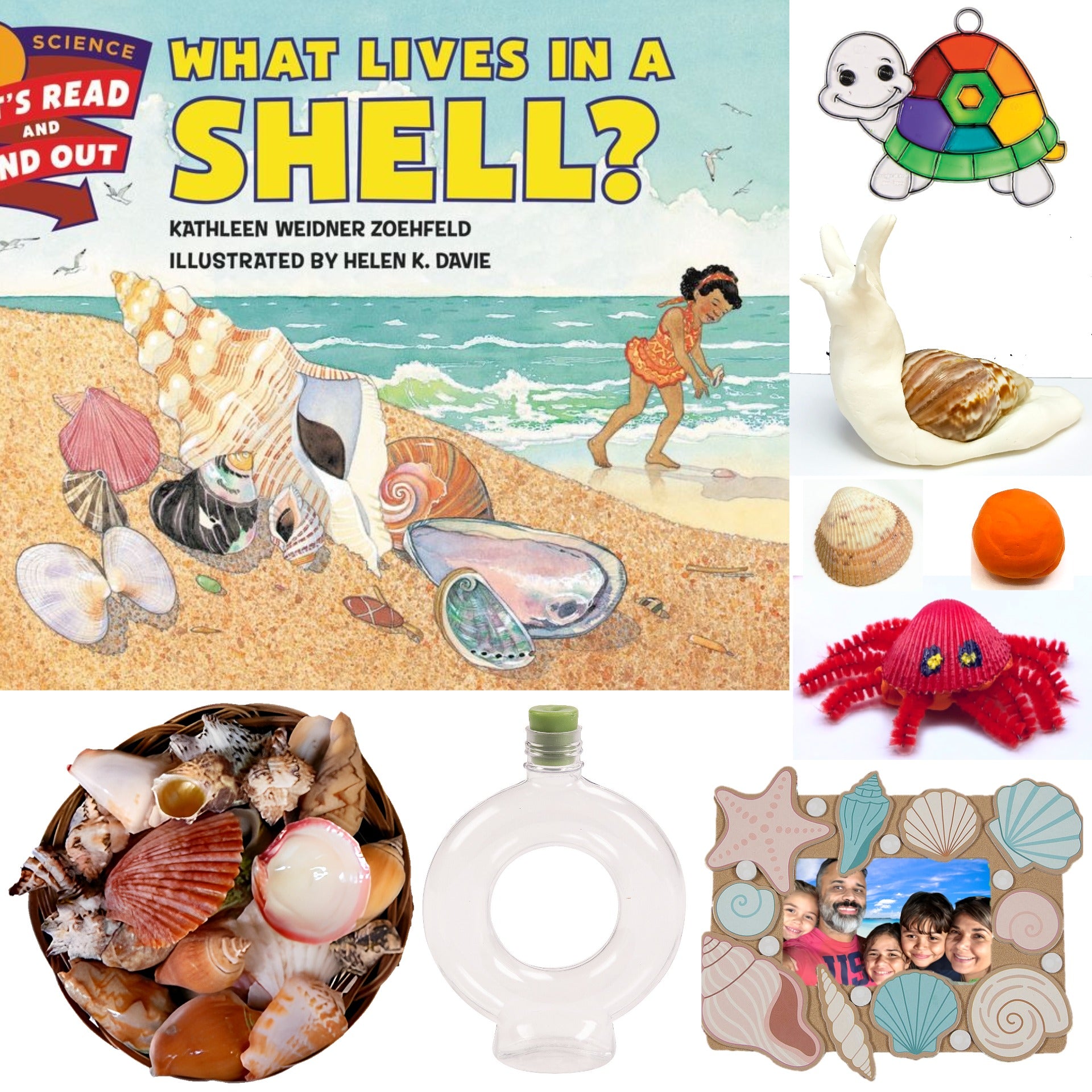 Sea Shell STEM kit