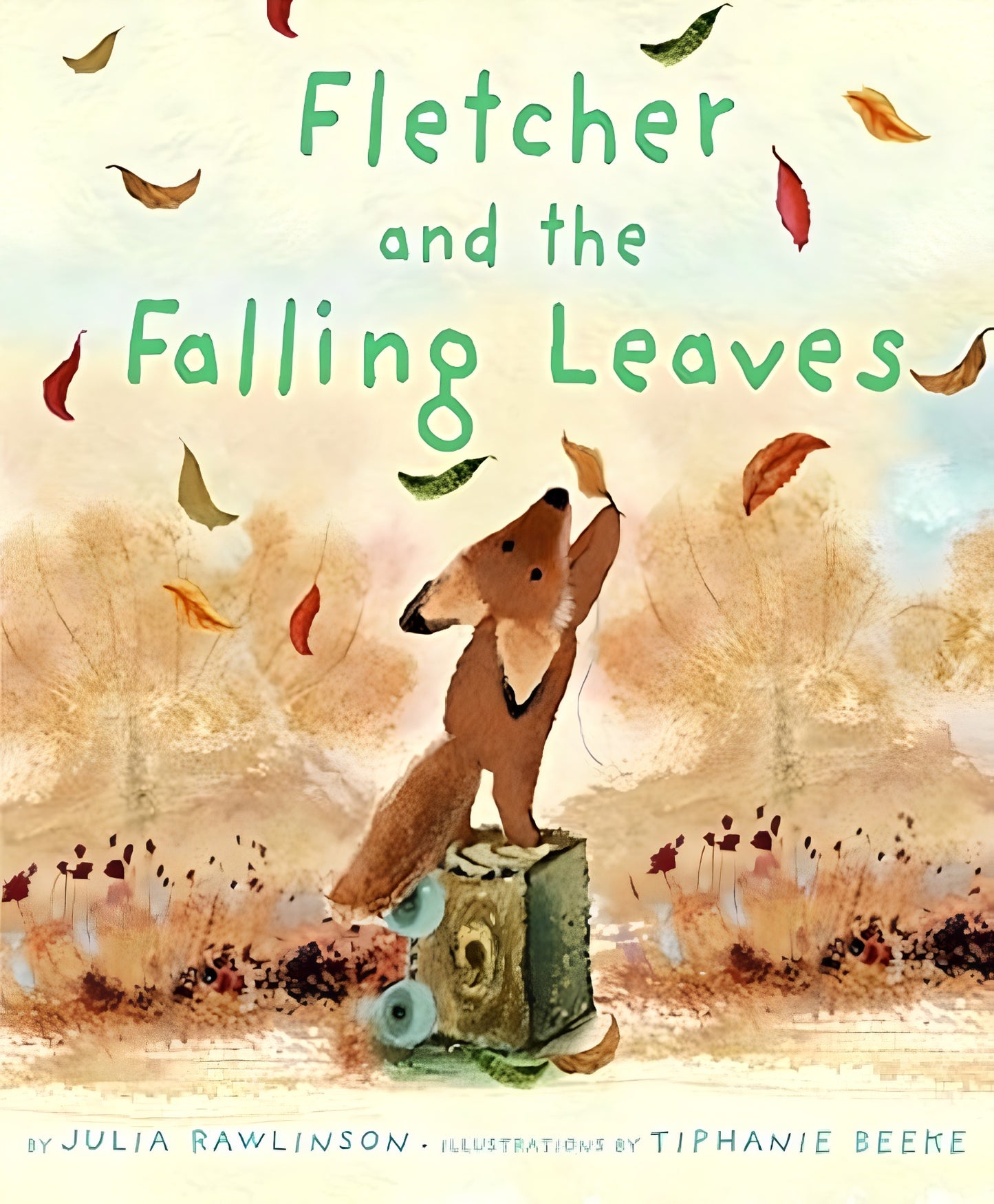 Fletcher and the Falling Leaves STEM KIT